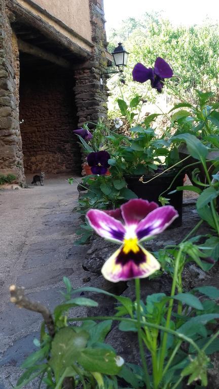 Balcones Del Rio Country house